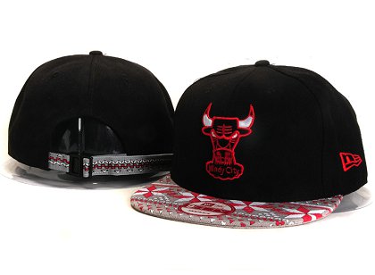Chicago Bulls New Type Snapback Hat YS5612